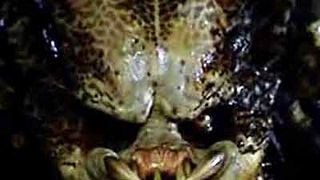 image de Mardi 13 juillet 2010