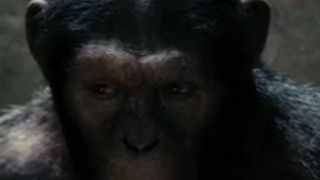 image de Vendredi 15 avril 2011