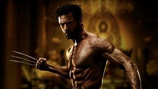 image de "Wolverine", "Skyfall", "Batman"...