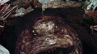 image de Les vers géants