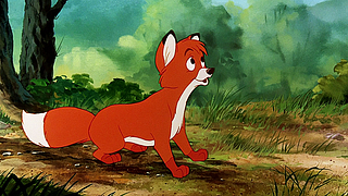 image de Les renards animés