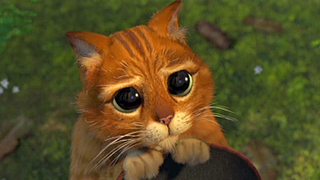 image de Les chats animés