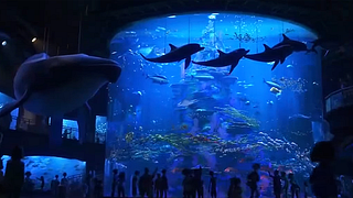 image de Les aquariums