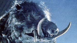 image de Les méchants cochons