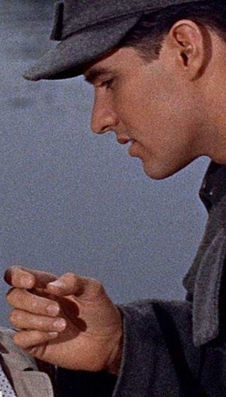 image de la news "Les vrais bonheurs ne durent jamais" : sorti il y a 67 ans, cette merveille absolue est l’un des plus grands films de guerre jamais réalisés