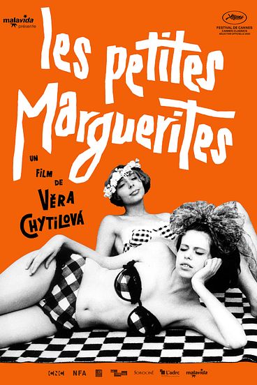 Les petites marguerites