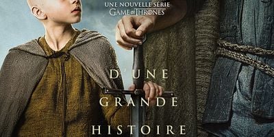 poster de la série Le chevalier errant