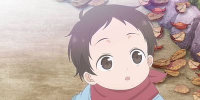 poster de la série Bébé tomate