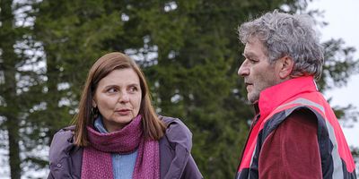 poster de la série En chiens de faïence