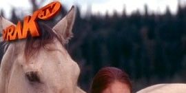 poster de la série La Fête des Mères