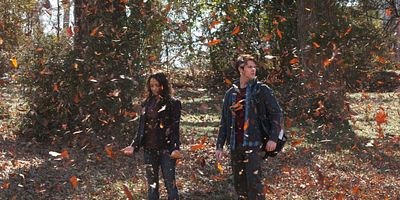 poster de la série Leurs vrais visages