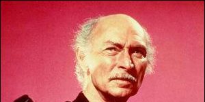 poster de la série Max