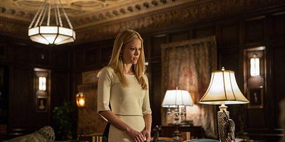 poster de la série Le ténor du barreau