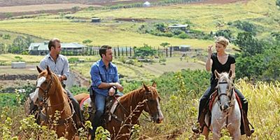 poster de la série Ua Lawe Wale (Pris)