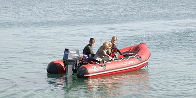 poster de la série Métamorphose