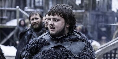 poster de la série L'Oiseau moqueur