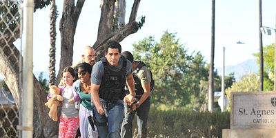 poster de la série Les chiens