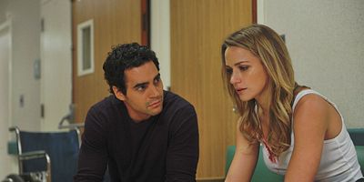 poster de la série Renard dans le poulailler