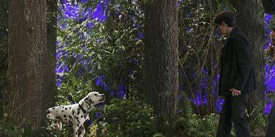 poster de la série La veuve norie