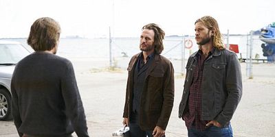 poster de la série Un bon chien