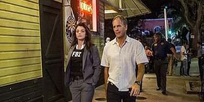 poster de la série Comme chien et chat