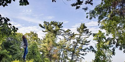 poster de la série Liminal Twilight