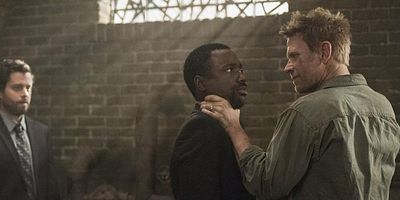 poster de la série De mauvais poil