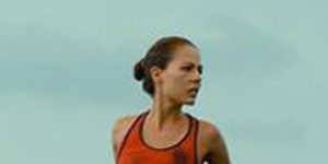 poster de la série Le Cormoran