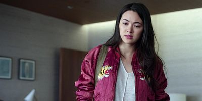 poster de la série Faucon fantôme prend son envol