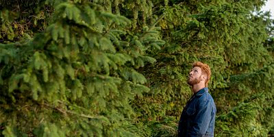 poster de la série Une prière pour Sweeney le Dingue