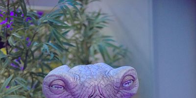 poster de la série Une visite inattendue