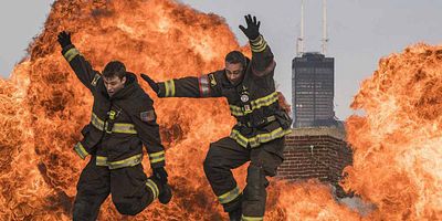 poster de la série La loi de la jungle