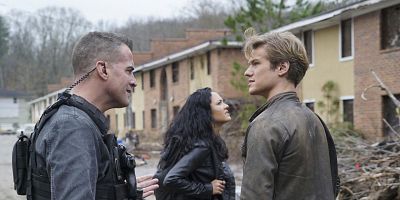 poster de la série Bear Trap + Mob Boss