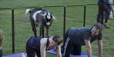 poster de la série Dis-moi oui