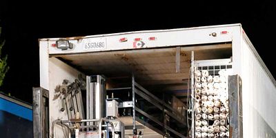 poster de la série Codependence