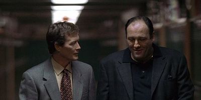 poster de la série Le Vagabond heureux