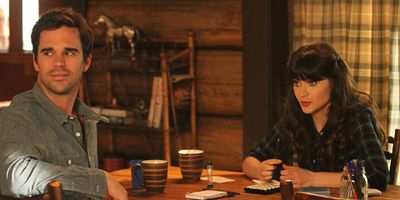 poster de la série La fée verte