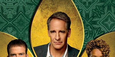 poster de la série De vieux os