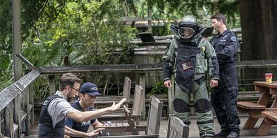 poster de la série Chiens de berger
