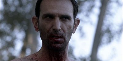 poster de la série La meute