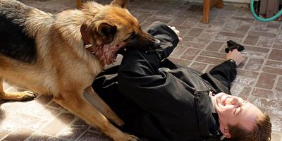 poster de la série Le meilleur ami de l'homme