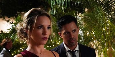 poster de la série Vipère au poing