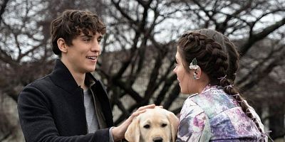 poster de la série L'attaque de la fée frénétique