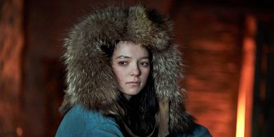 poster de la série La forêt