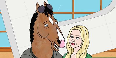 poster de la série Un pauvre canasson