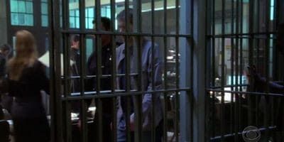 poster de la série Expert et témoin