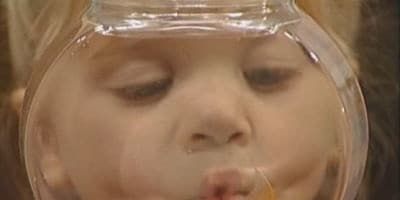 poster de la série Un poisson nommé Martin