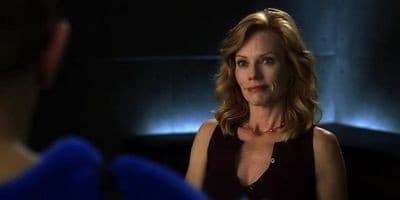 poster de la série Pas si bêtes