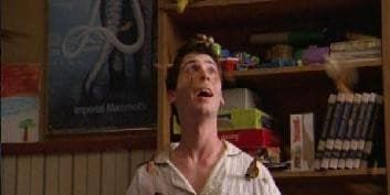 poster de la série Larves et chenilles