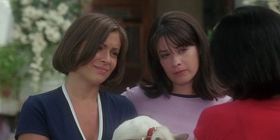 poster de la série Le Livre des Ombres